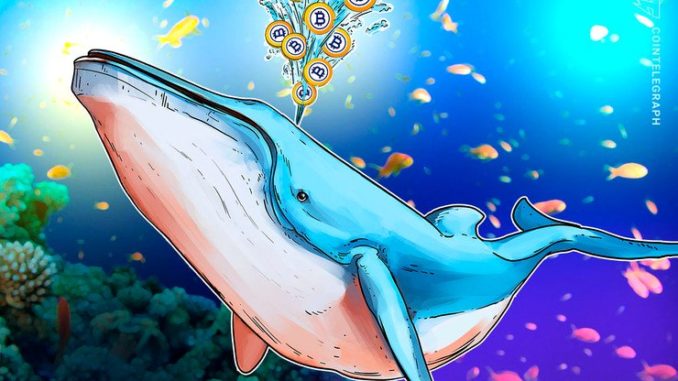 Bitcoin-Gold-es-mantenido-cautivo-por-una-ballena-con-casi-la-mitad-de-los-recursos.jpg