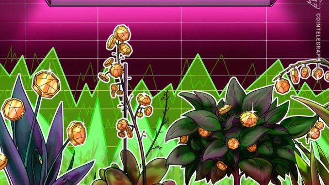 Suministro-de-BSV-y-BCH-en-algunas-mitades-un-mes-antes-de-Bitcoin.jpg